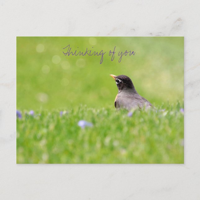 Tankar på ditt vykort  (Framsida)