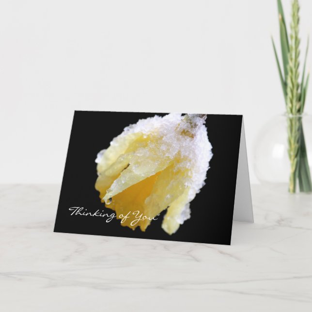 Tankar på ditt Winter Daffodil-hälsningskort Kort (Framsida)