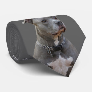 Tankar på Pitbull Tie Slips