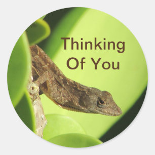 Tankar på Vänskapen Cute Reptile Gecko Runt Klistermärke
