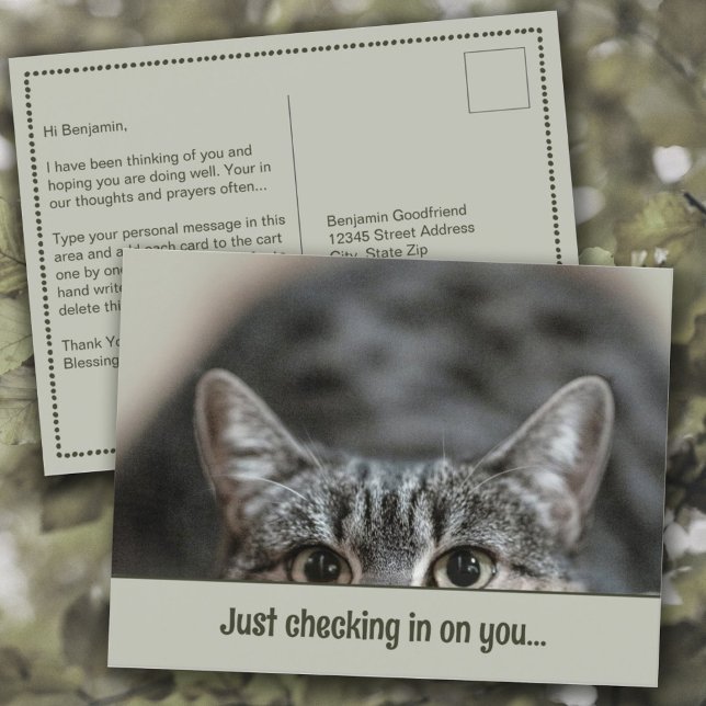 Tankar på vykort för rutnätsbildtext (Thinking of You "Just Checking in on You" Cute Cat Personalized Caption Template Postcard)