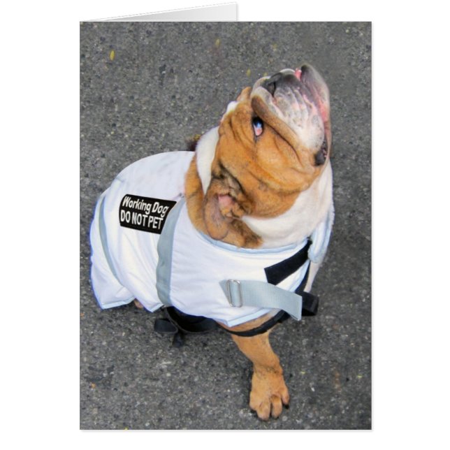 Tänkarealitet Hälsningskort (Framsidan)