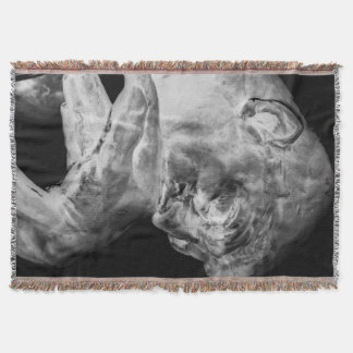 Tänkarekastfilten Mysfilt