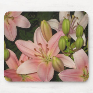 Tänkarosor Musmatta