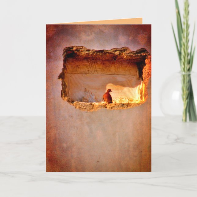 Tänkbar duva kort (Framsida)