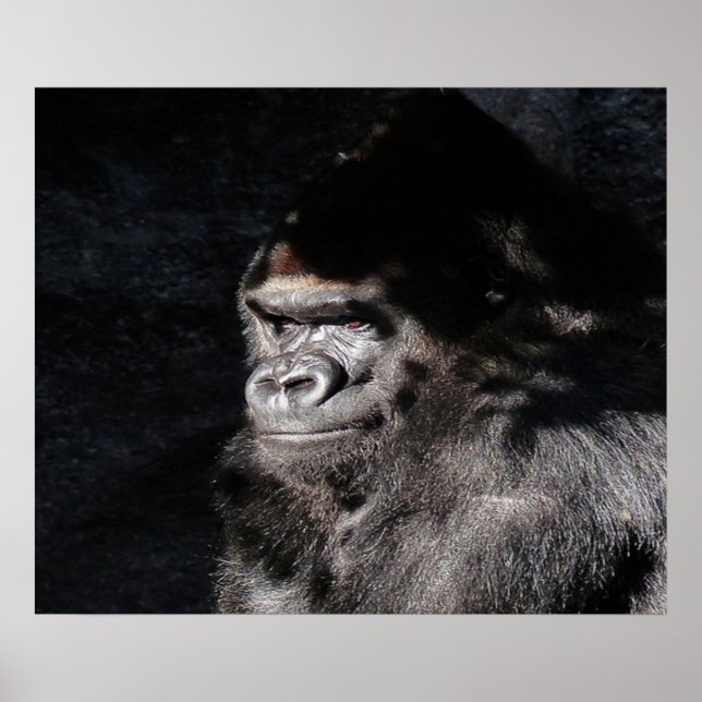 Tänkbar Gorilla Wall Poster (Framsidan)