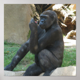 Tänkbara Gorilla Poster