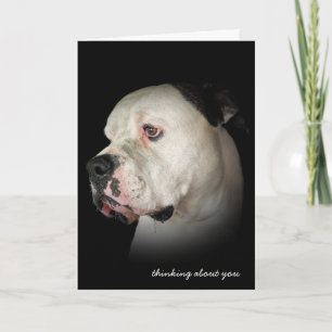 tanke på att du drunknar Bulldog Kort