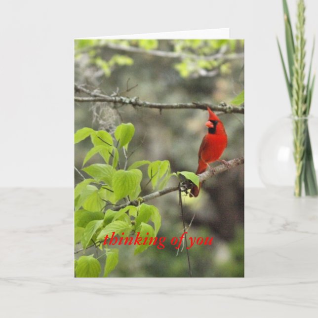 tanke på dig/ kardinal kort (Framsida)