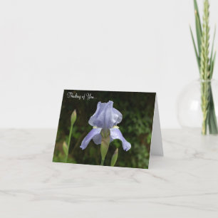 Tanken på att du skulle få Periwinkle Iris Sällsyn Kort