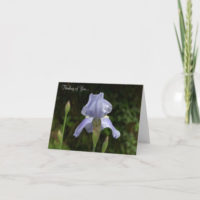 Tanken på att du skulle få Periwinkle Iris Sällsyn Kort (Framsida)