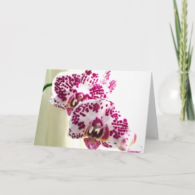 Tanken på dig Variegated Lila Orchid Photo Kort (Framsida)