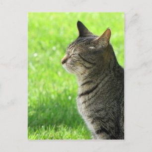 Tänker ... av er ... vykort