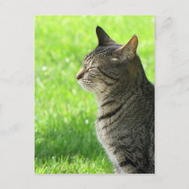 Tänker ... av er ... vykort (Framsida)