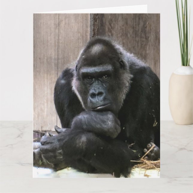 TÄNKER DU GORILLA STORA GREETING CARD KORT (Framsida)