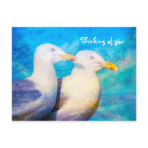 Tänker du två Fiskmås Blå himmel?