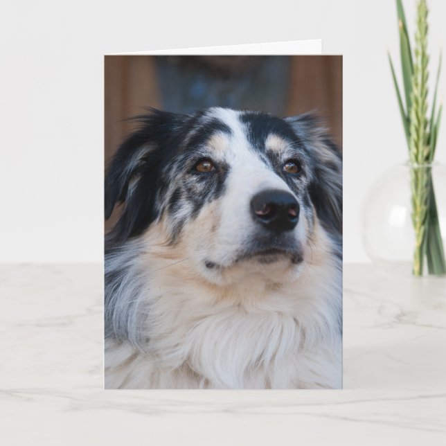Tänker på Dig Aussie Närbild Foto Kort (Framsida)