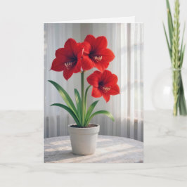 Tänker på Dig Blommande Röd Amaryllis  Kort