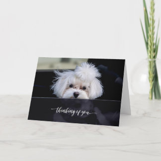 Tänker på Dig Faltad Kort