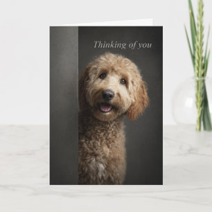 Tänker på Dig Goldendoodle Kort