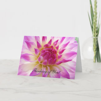 Tänker på Dig! Grattiskort Rosa Vita Dahlia Kort