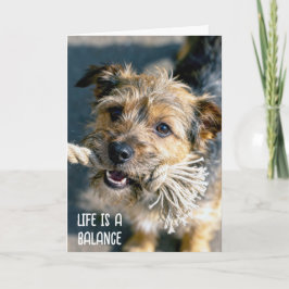 Tänker på Dig Hund Dragkamp Kort