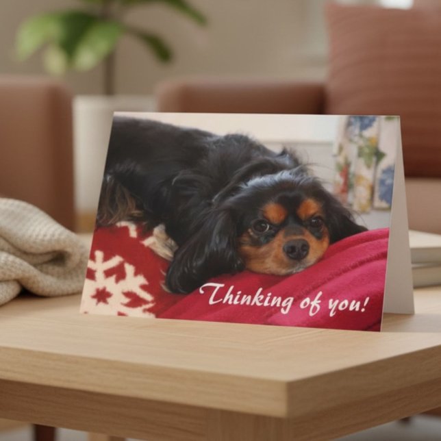 Tänker på Dig Hundälskare Cavalier King Charles Kort (Skapare uppladdad)