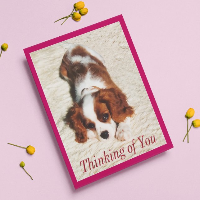 Tänker på dig King Charles Spaniel Valp Kort (Skapare uppladdad)