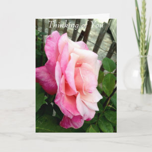 Tänker på Dig. Kort