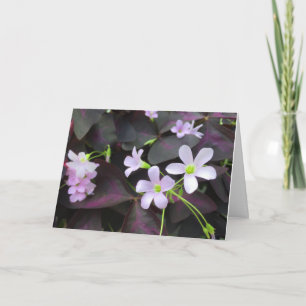 Tänker på Dig Lila Shamrock Blommor Fotografi Kort