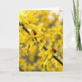 Tänker på Dig Nyckelpigor på Forsythia Gren Kort