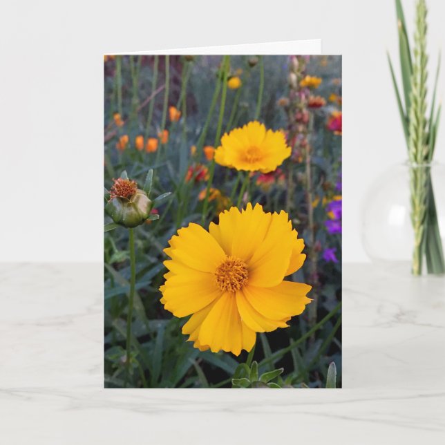 Tänker på Dig Orange Cosmos Foto Kort (Framsida)