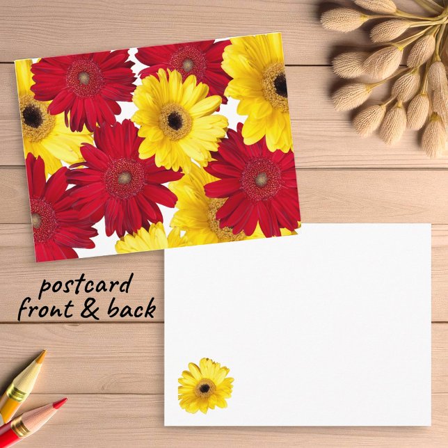 Tänker på dig röda och gula Gerber-tusenskönor Vykort (gerbera daisy postcard insitu)