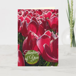 Tänker på dig Röda tulpaner Blomsterhälsningar Kort