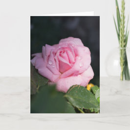 Tänker på dig - Rosa ros Kort