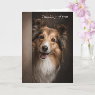 Tänker på dig Shetland Sheepdog Kort