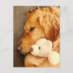 Tänker på dig söt sorgsen golden retriever hund hu vykort