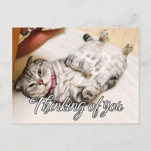 Tänker På Dig - Söta Kitty Katt Vykort