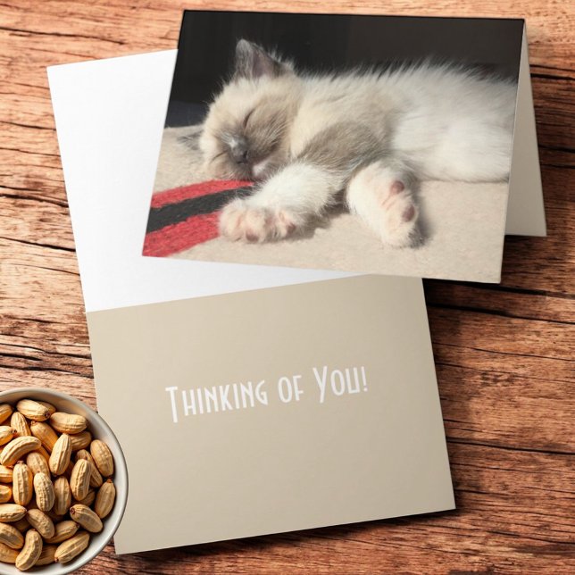 Tänker på Dig Sover Siamkattsunge Fotografiet Kort (Folding greeting card cover and inside template text )