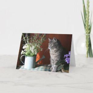 "Tänker på dig", Tabby katt-kort Kort