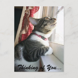 Tänker på dig... vykort