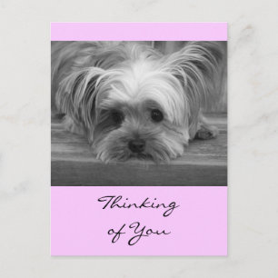 Tänker på dig Yorkshire Terrier Valp Postkort Vykort