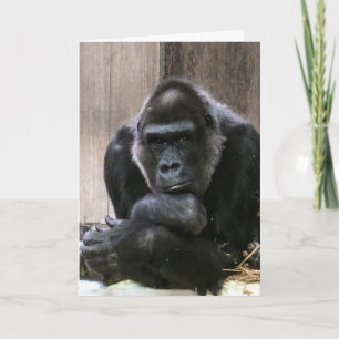 TÄNKER PÅ GORILLA GREETING CARDS KORT