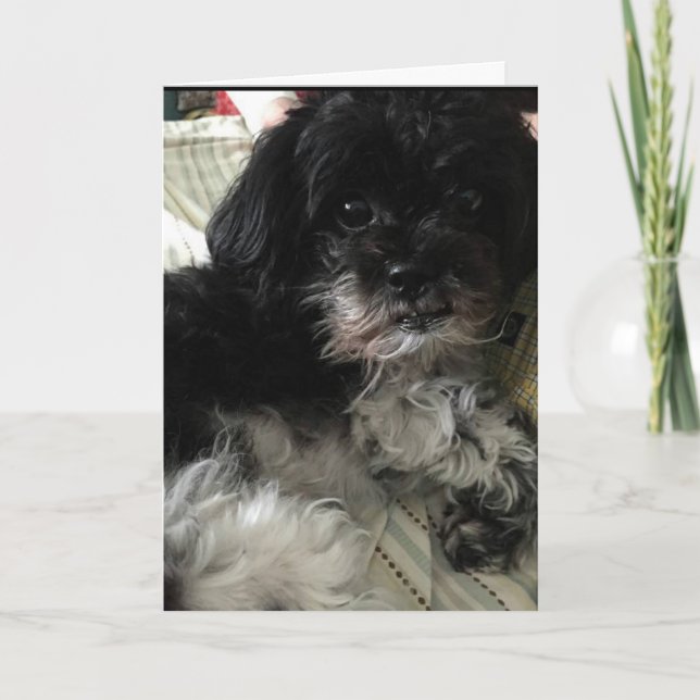 "TÄNKER PÅ HUR MYCKET JAG KÄRLEKAR DIG!" KÄRLEK-KO HELGKORT (Framsida)