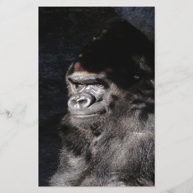 Tankfull Gorilla (Framsida)
