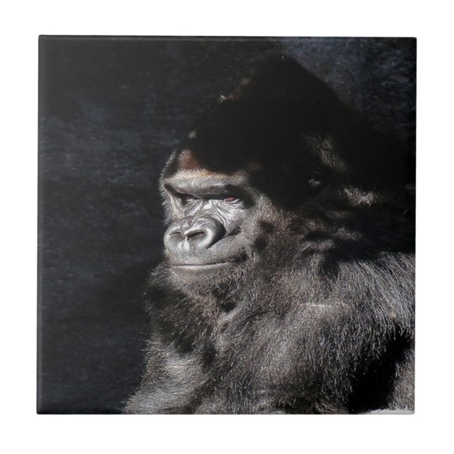 Tankfull Gorilla Kakelplatta (Framsidan)