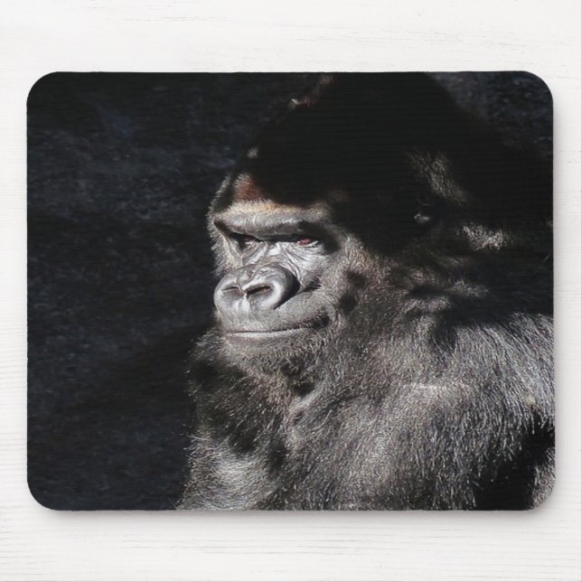 Tankfull Gorilla Musmatta (Framsidan)
