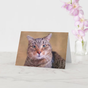 Tankfull Kattunge kommer bra Kort