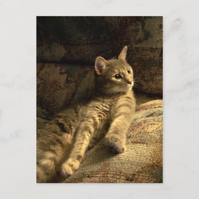 tankfull vykort (Framsida)