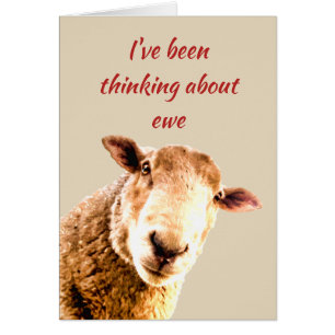 Tankning av Ewe Funny Sheep Animal Humor Hälsningskort